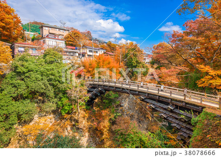 Saruhashi Monkey Bridge Saruhashi Monkey Bridge 38078666