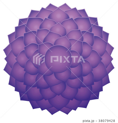 Thousand Petaled Lotus Sahasraha Crown Chakra Thousand Petaled Lotus Sahasraha Crown Chakra 38079428