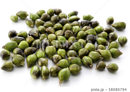 数珠玉 数珠玉 38080794