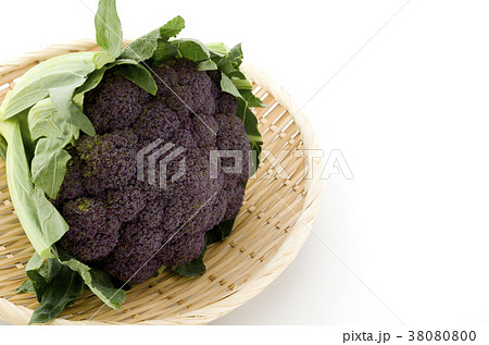 紫カリフラワー 38080800