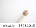 女性の手 38081015