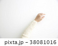 女性の手 38081016