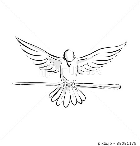 Soaring Dove Clutching Staff Front Drawing Stock Illustration