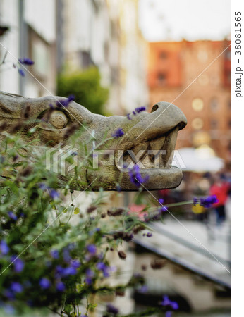 Mariacka Street in Gdansk, Poland 38081565
