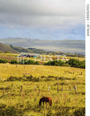 Landscape of Easter Island, Chile 38082001