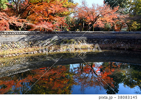 永保寺の築地塀 永保寺の築地塀 38083145