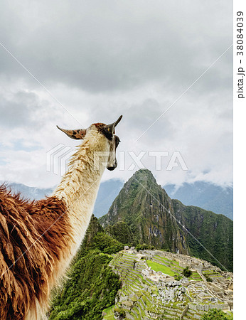 Machu Picchu in Peru 38084039