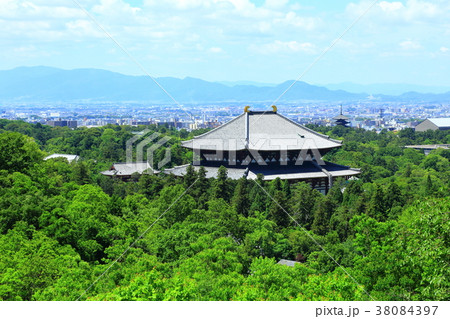 新緑の東大寺大仏殿 新緑の東大寺大仏殿 38084397