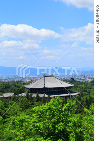 新緑の東大寺大仏殿 38084405