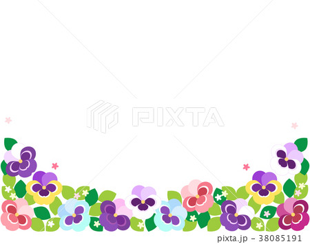 パンジー3 38085191