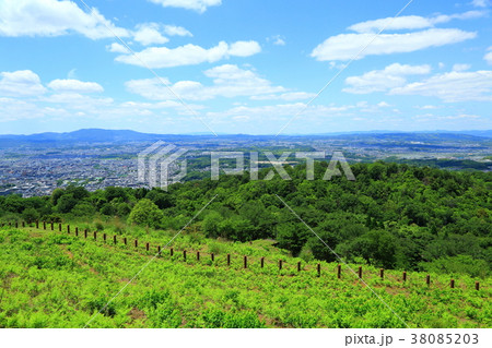 新緑の若草山山頂 新緑の若草山山頂 38085203