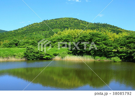 新緑の三輪山と井寺池 38085792