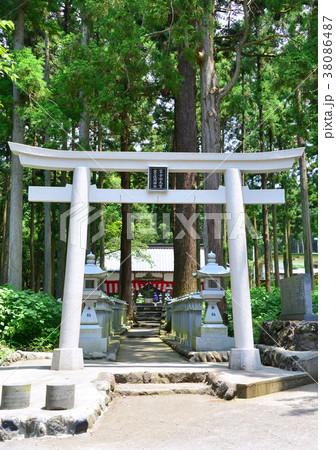 世界遺産山宮浅間神社-19436 世界遺産山宮浅間神社-19436 38086487