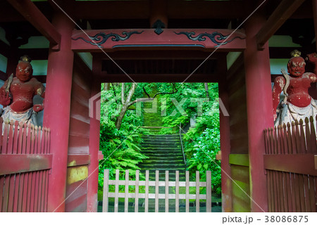 鎌倉 妙法寺(苔寺) 仁王門と苔の石段 鎌倉 妙法寺(苔寺) 仁王門と苔の石段 38086875