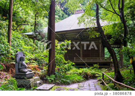 鎌倉 妙法寺（苔寺） 法華堂 38086878