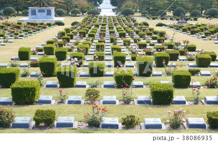 The United Nations Memorial Cemetery in Korea 38086935