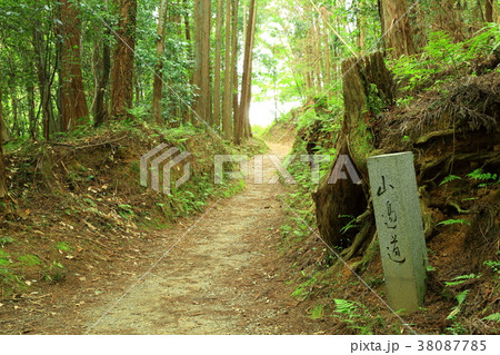 山の辺の道 山の辺の道 38087785