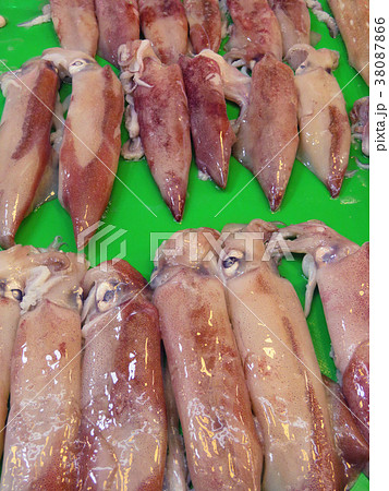 魚介類 シーフード 海の幸 38087866