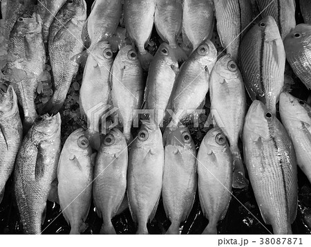 魚介類 シーフード 海の幸 38087871