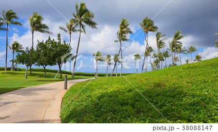 ハワイ　コオリナビーチ 38088147