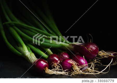 onion bulbs 38088779