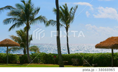 コオリナビーチ 38088965