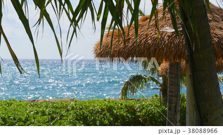 コオリナビーチ 38088966