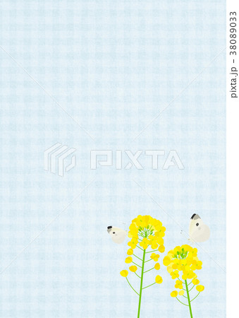 背景素材_菜の花と蝶（青） 38089033
