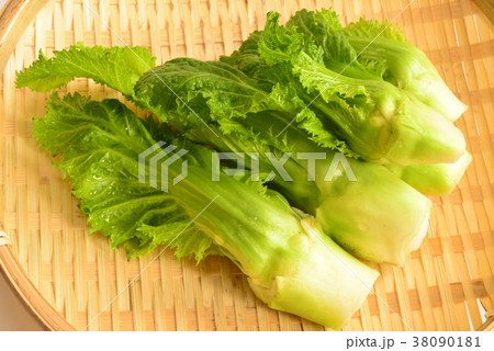 子持ち高菜・春野菜 子持ち高菜・春野菜 38090181