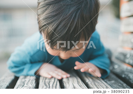 3 years old 3 years old 38090235