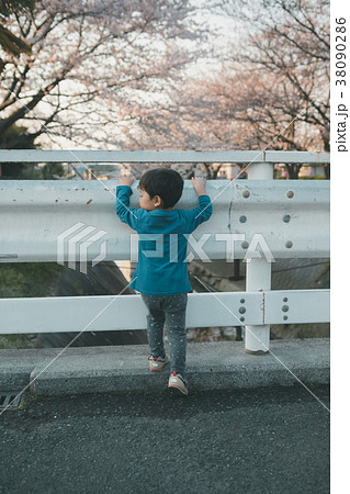3 years old 38090286