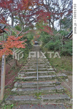 Colour ful Autumn in Nison in Temple, Kyoto, Japan 38091450