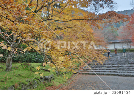 maple leave at the main road Nison inTemple 38091454
