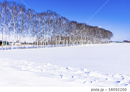 厳冬期の十勝地方の雪景色 厳冬期の十勝地方の雪景色 38092200