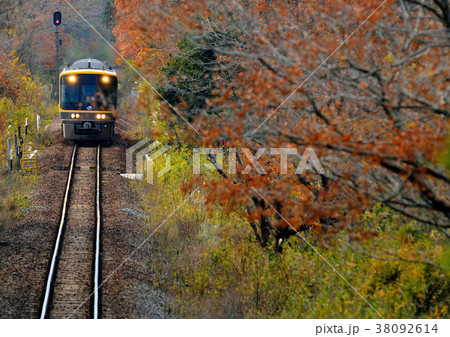 キヤ141と紅葉 38092614
