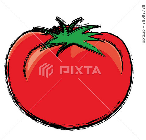 トマトのイラスト 手描き風イラスト 墨絵 ベクターデータのイラスト素材