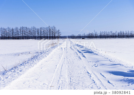 北海道の白い雪道の写真素材