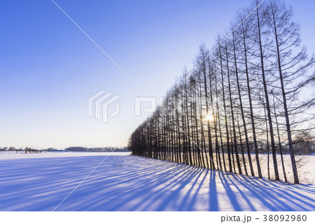 厳冬期の雪原に沈む夕陽 38092980