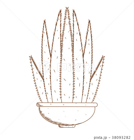 Abstract cute cactus Abstract cute cactus 38093282