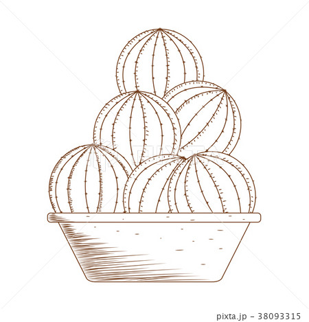 Abstract cute cactus Abstract cute cactus 38093315