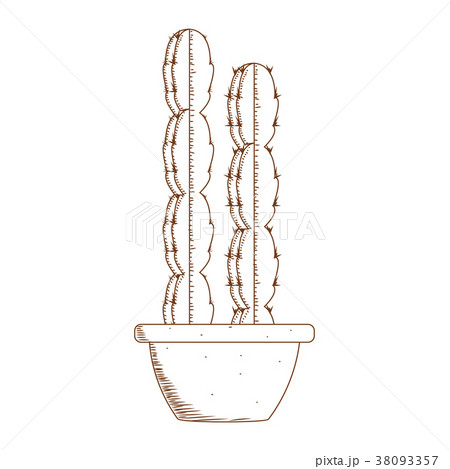 Abstract cute cactus Abstract cute cactus 38093357