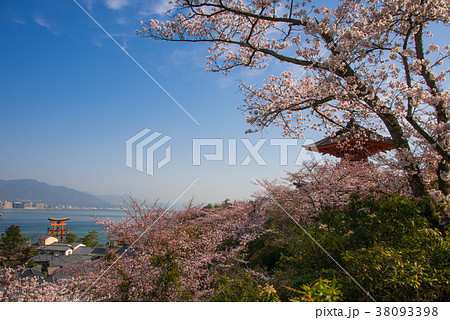 宮島 宮島 38093398