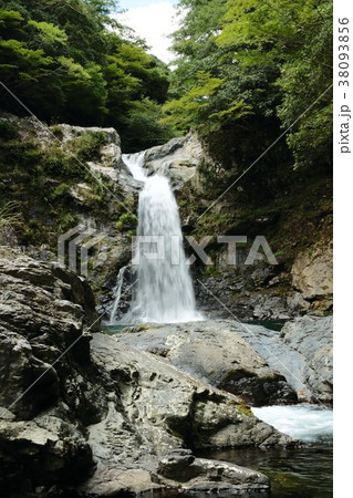 琴の滝(1) 琴の滝(1) 38093856