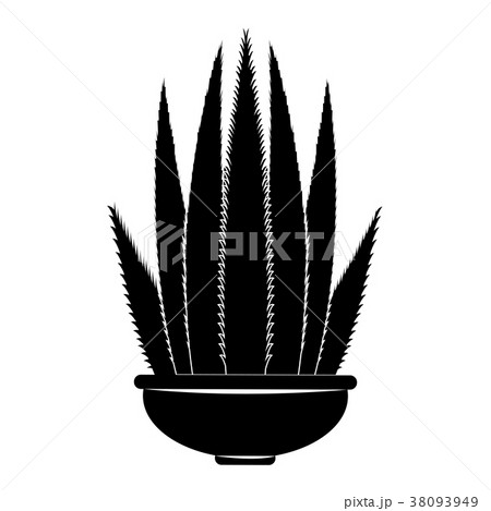 Abstract cute cactus 38093949