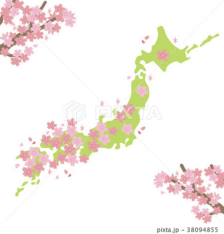 桜前線　イラスト 38094855