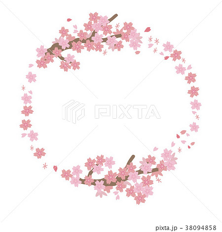 桜 フレーム 円のイラスト素材