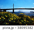 橋と花 38095382