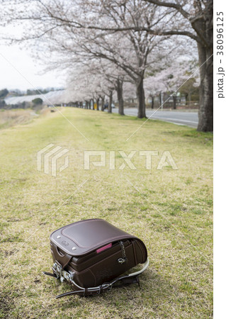 桜とランドセル 38096125