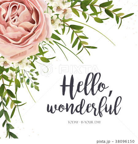 Vector card floral design: purple pink rose flower 38096150