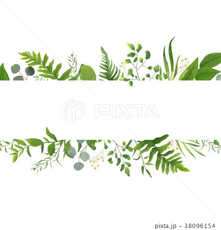Vector floral greenery card design with leaves 38096154